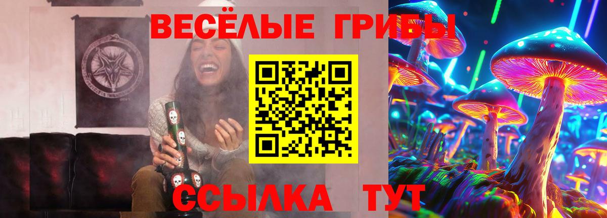 Псилоцибиновые грибы Psilocybine cubensis Кулебаки